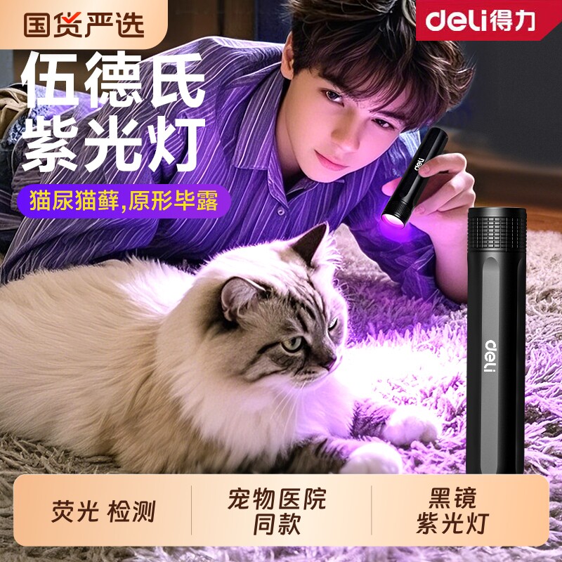 得力紫光灯照猫藓灯UV黑镜紫光灯验钞灯可充电荧光剂检测笔伍德氏