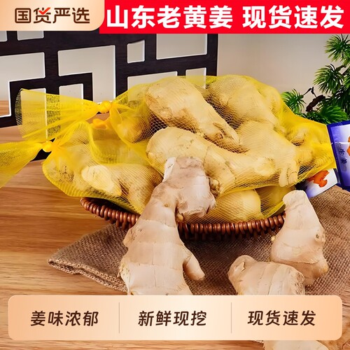 正宗山东大黄姜 生姜老姜 水洗风干无泥 月子优质大黄姜生姜批发