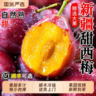 正宗新疆甜西梅大果当季新鲜水果正品法兰西脆甜西梅整箱李子包邮