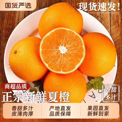 【湖北夏橙9斤钜惠】香甜爆汁