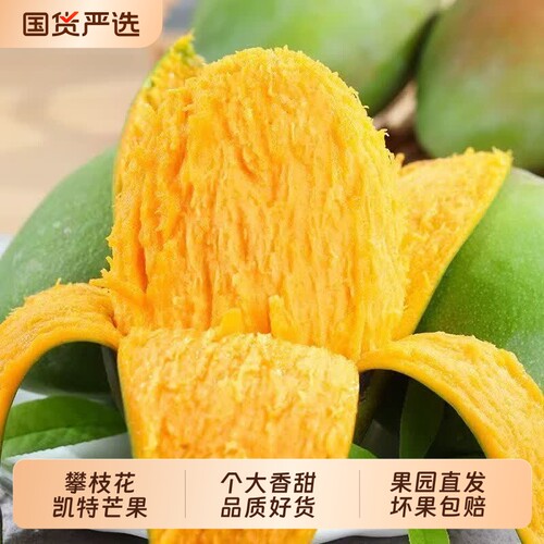 四川攀枝花凯特芒果新鲜应季孕妇水果芒果整箱包邮大果青忙果当季