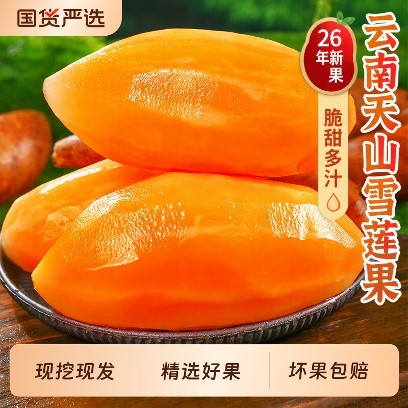 云南天山雪莲果新鲜水果当季现挖红心雪连果时令整箱包邮送达礼盒