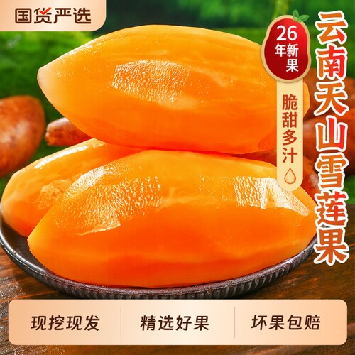 天山雪莲果，2026新果，脆甜多汁