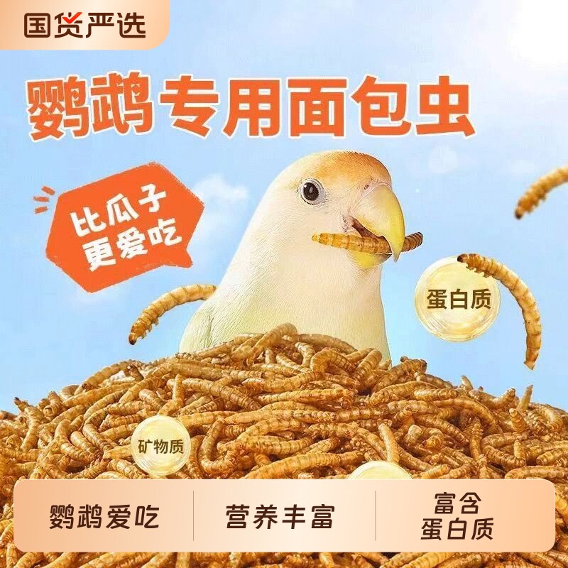 鹦鹉专用面包虫干奖励零食虎皮牡丹玄凤小太阳用品鸟粮饲料瓜子