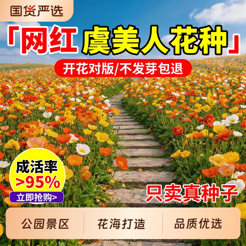 虞美人花种子格桑花花种子多年室外庭院四季播种开花太阳花卉种子