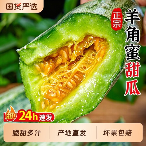 山东羊角蜜甜瓜脆甜多汁产地直发
