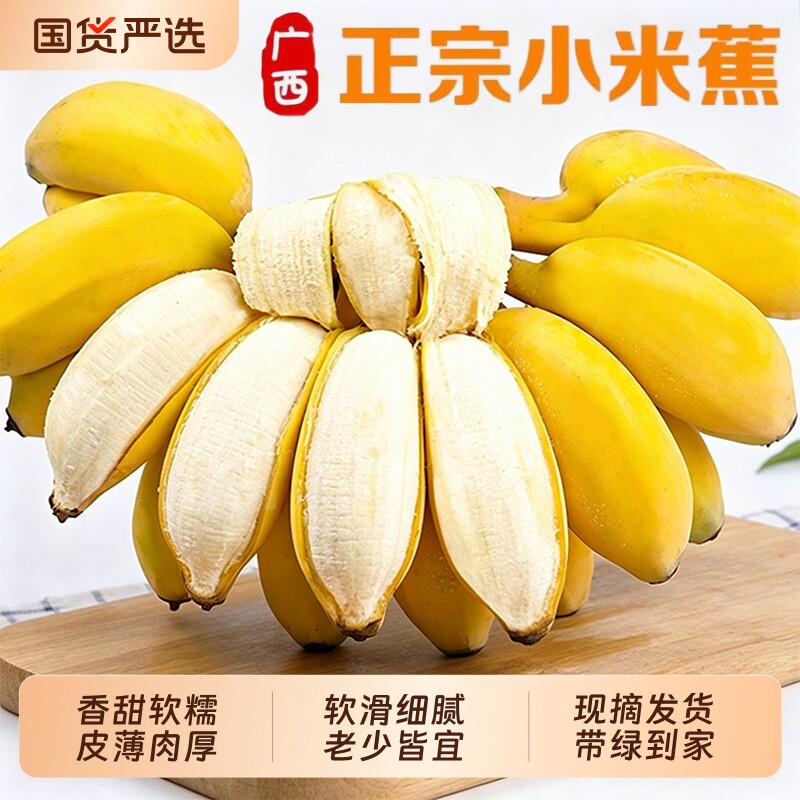 广西小米蕉当季新鲜水果小香蕉