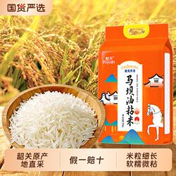 舶元广东韶关马坝油粘米5kg*1袋原粮南方籼米地标米煲仔饭优选