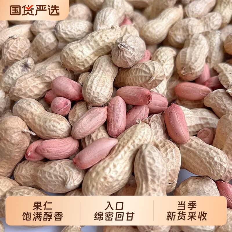 白沙花生带壳生的新鲜干货农家自产生花生新货油炸花生米下酒菜图片