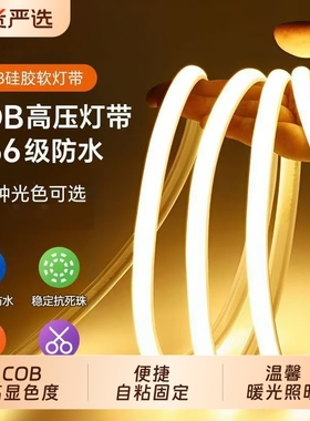 鼎雁COB灯带自粘led灯条220v防水超亮线形灯槽家用客厅吊顶户外
