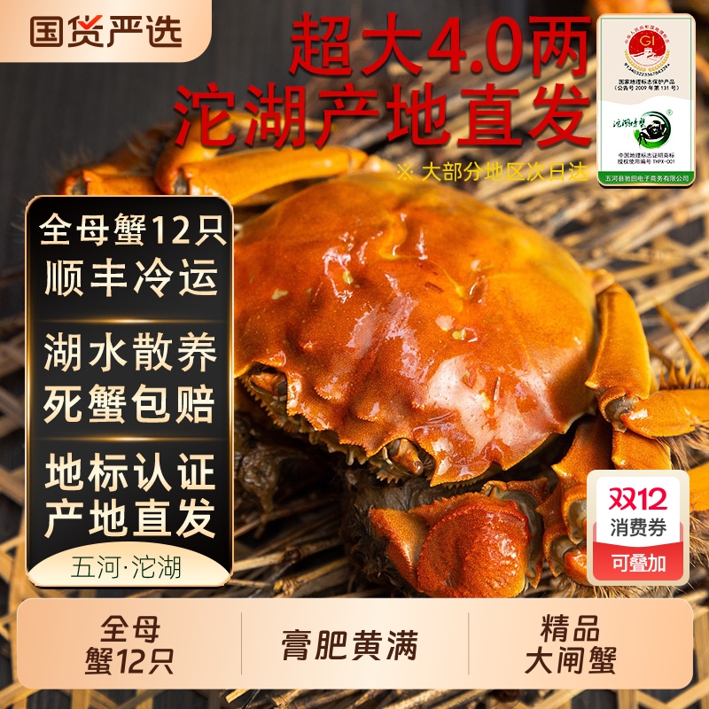 【活蟹】沱湖螃蟹大闸蟹鲜活特大螃蟹湖蟹全母12只