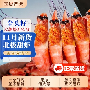 北极甜虾北极熊北极虾刺身头膏腹籽特大冰虾新鲜冷冻海鲜水产鲜活