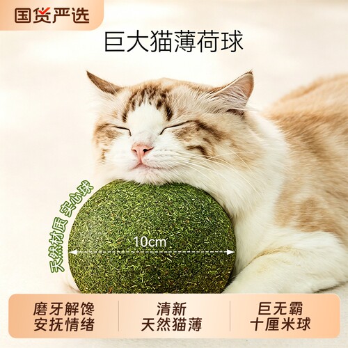 猫薄荷球超大猫小猫玩具自嗨解闷磨牙猫草球逗猫棒猫咪用品木天蓼