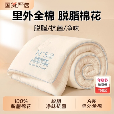 【脱脂棉花】里外全棉A类双层纱100新疆棉花被子冬被纯棉春秋被芯