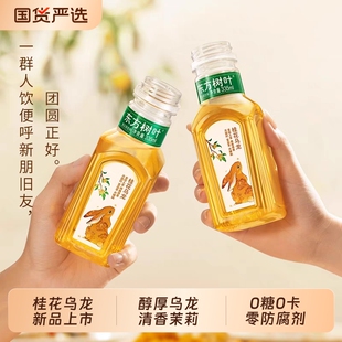 东方树叶茉莉花茶335ml桂花乌龙/12瓶装无糖饮料乌龙茶青柑普洱茶