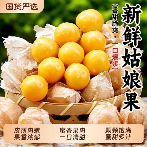 顺丰东北姑娘果5斤菇娘灯笼果新鲜当季水果整箱特产小金豆甜大果