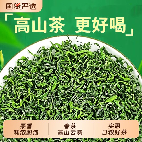 绿茶毛尖2026新茶正宗春茶高山云雾炒青浓香型茶叶自己喝特色袋装