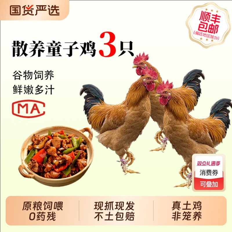土鸡童子鸡深山散养原粮饲喂3新鲜整鸡现杀走地鸡小公鸡皖南放养