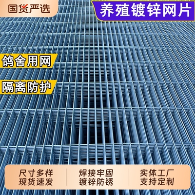 镀锌铁丝网片狗笼鸽舍围栏踏网热镀锌养殖钢丝网加粗加密网格防护