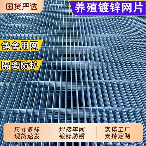 长孔镀锌铁丝网片狗笼鸽舍围栏踏网热镀锌养殖钢丝网加粗加密网格