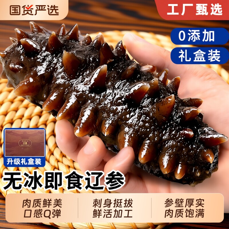 特级大连海参即食口感好新鲜开袋独立顺丰水产冷冻深海鲜活刺身