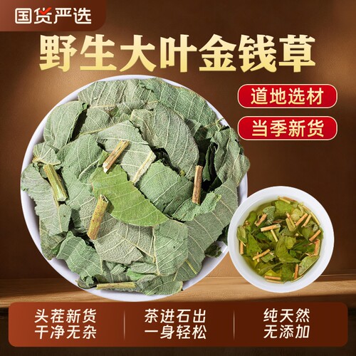 特级正宗金钱草中药材野生大叶肾结颗石粒茶进石出泡水喝正品新鲜