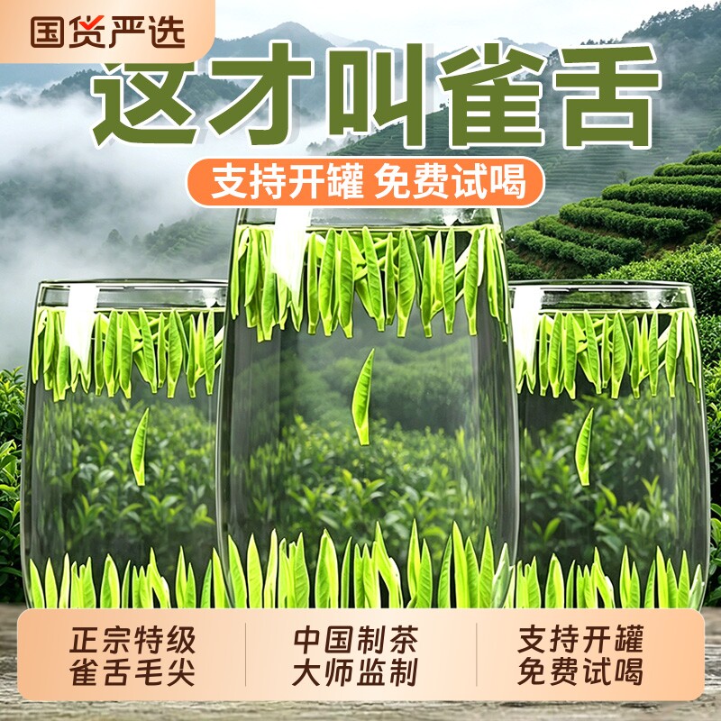特级雀舌茶叶绿茶2026新茶明前贵州湄潭高山云雾毛尖嫩芽炒青