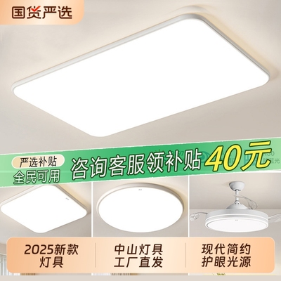 2025新款客厅吸顶灯现代简约