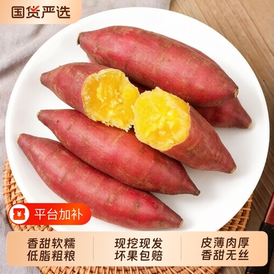 天目山小香薯新鲜板栗红薯沙地正宗农家自种小番薯甜蜜薯地瓜批发