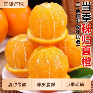 正宗秭归夏橙当季水果脐橙榨汁橙子甜橙产地整箱包邮新鲜现摘大果