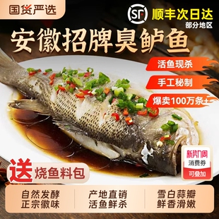 徽渔桂安徽臭鲈鱼正宗特产徽州臭真空活鱼半成品新鲜冷冻生鲜鳜鱼