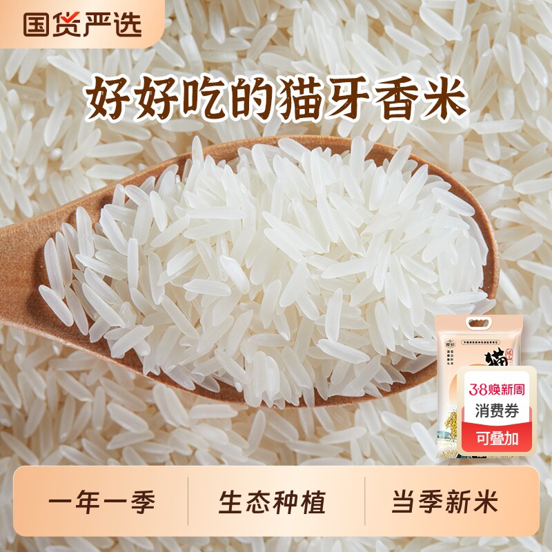 瑶珍猫牙香米优质大米一级长粒香米真空包装炒饭煲仔饭5斤装