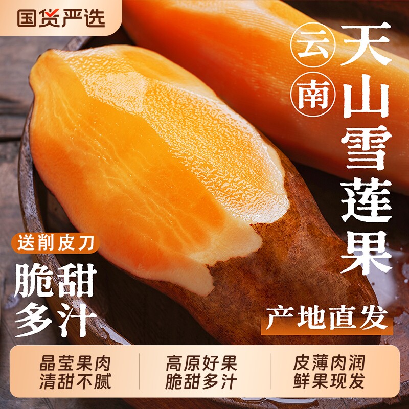 天山雪莲果新鲜水果应当季云南孕妇黄心雪连果黄心特整箱包邮9斤