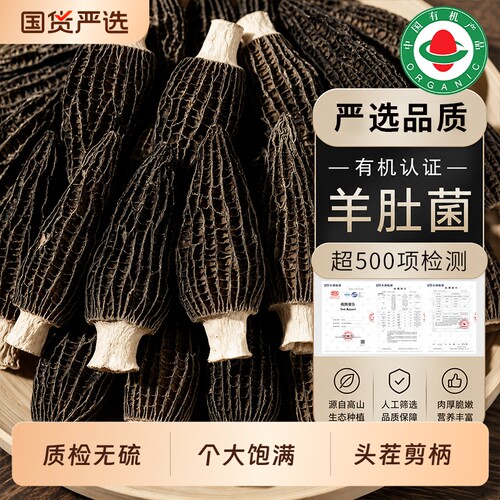 只发净重】有机羊肚菌26头茬剪柄
