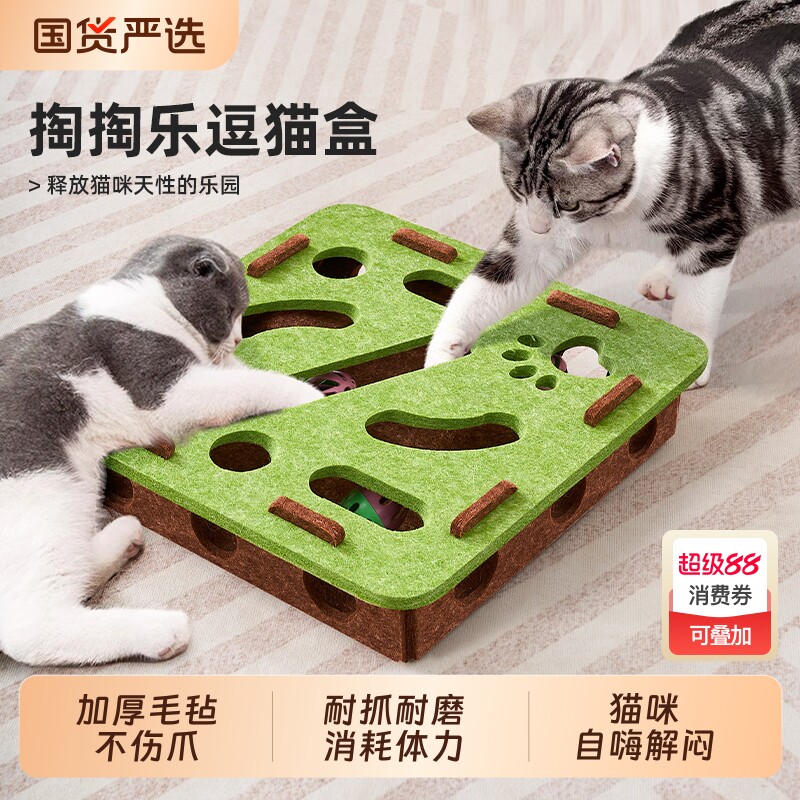 ���������ء����Ƕ�è�Թ������� è��������˽���������������