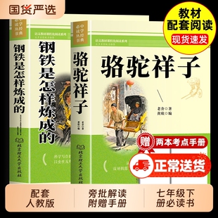 骆驼祥子和钢铁是怎样炼成的海底两万里正版书原著老舍著七年级下册必读的课外书初中生初一下册青少年读物人教版完整版无删减td