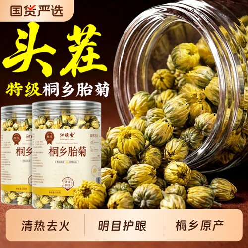 特级桐乡胎菊养肝去火