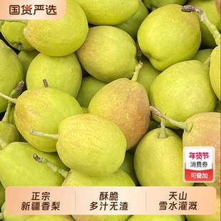 酥脆甜正宗新疆香梨新鲜水果红香酥梨梨子库尔勒杂交品种年货节