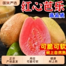 福建正宗红心芭乐新鲜水果 大果脆甜胭脂红巴乐番石榴软心软糯 包邮