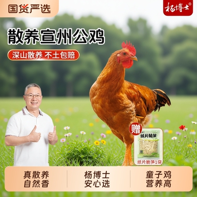 杨博士宣州公鸡深山散养正宗宣州鸡小公鸡2只新鲜农家未打鸣公鸡