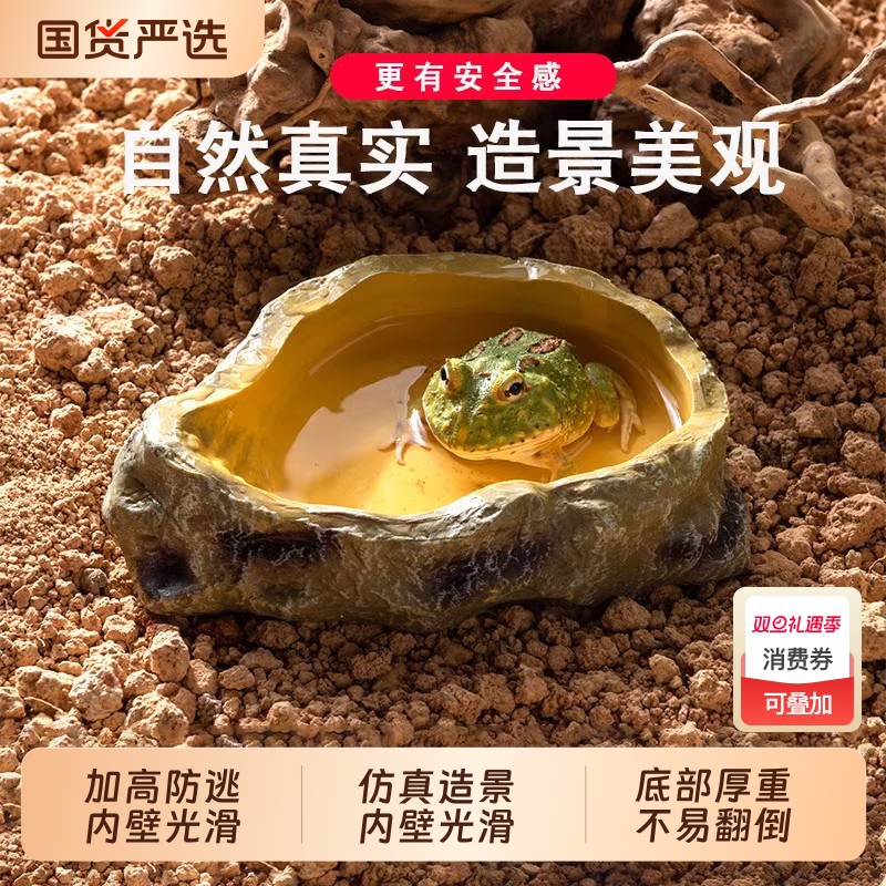 爬宠水盆食盆蜥蜴角蛙造型