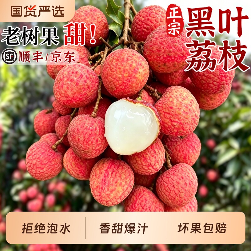 顺丰礼盒正宗黑叶荔枝当季现摘礼盒装老树大果新鲜水果白糖桂罂味