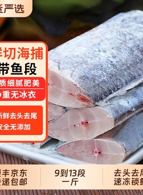 带鱼新鲜冷冻刀鱼中段正宗东海小眼深海鱼鲜活速冻带鱼段水产无冰