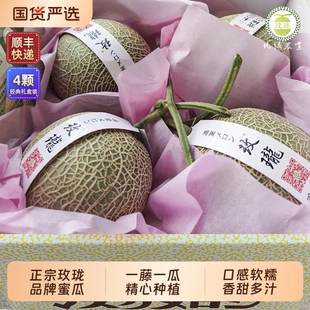 2026年正宗玫珑蜜瓜4颗8斤礼盒装海南当季时令水果一藤一瓜网纹瓜