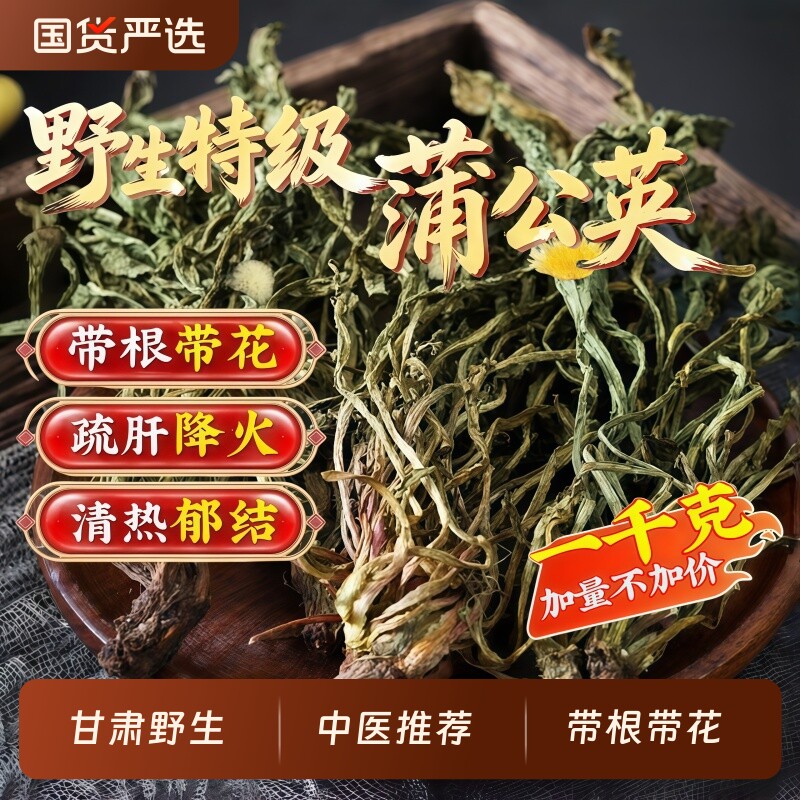 特级野生蒲公英整根蒲公英茶根正品中药材新鲜夏枯草茶官方旗舰店