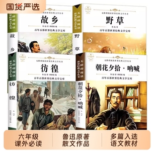 鲁迅原著正版 野草 彷徨全套4册六年级必读课外书鲁迅 散文作品集书籍经典 故乡 书6年级课外阅读书籍老师推荐 全集读本 配套考点