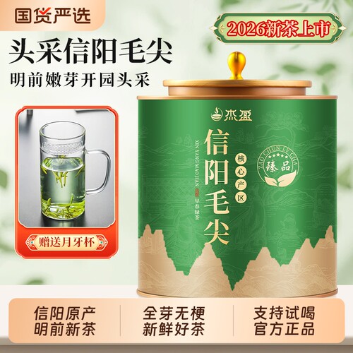 信阳毛尖绿茶2026年新茶