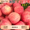 正宗红富士苹果新鲜水果苹果应当季冰糖心脆甜整箱包邮生鲜现摘