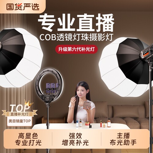 专业直播球形补光灯增亮可调节