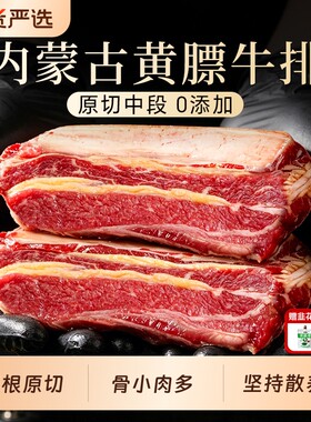 牛肋排原切排骨黄膘牛排内蒙古扇子骨新鲜带肉条生鲜牛仔骨整根